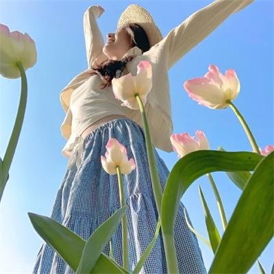 护国驸马爷一国驸马护山河